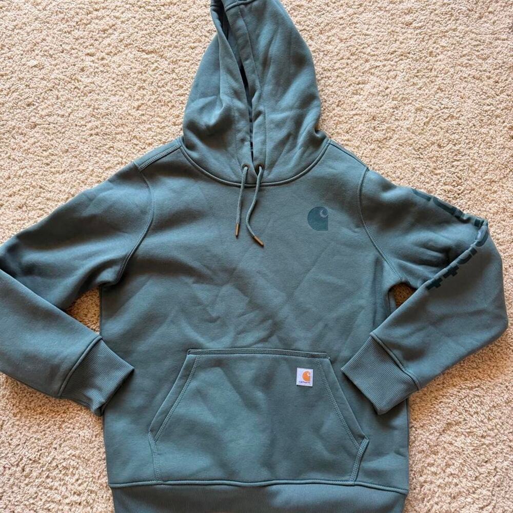 Carhartt wip hoodie in green